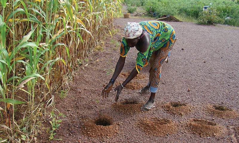 The Environment and Climate Change