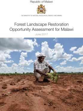 Forest Landscape Restoration Opportunity Assessment for Malawi 2017