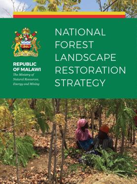 Malawi Nationa Forest Landscape Restoration Strategy