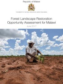 Forest Landscape Restoration Opportunity Assessment for Malawi 2017